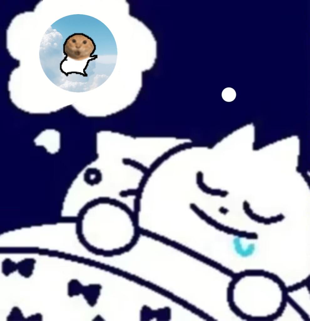 meme miss_in_my_sleep